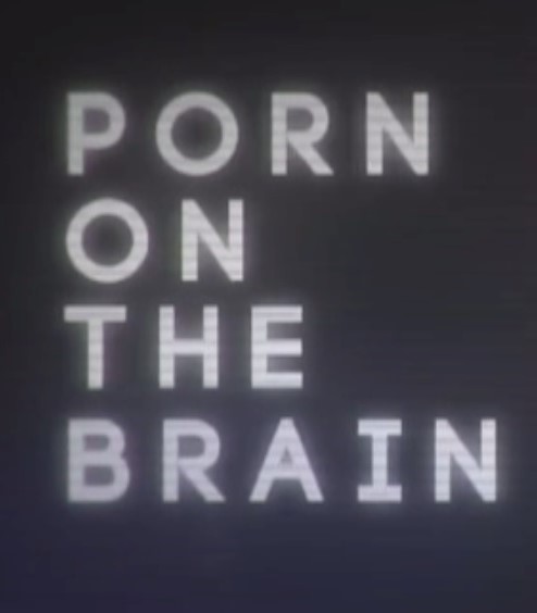 Porn Documentary Video 80