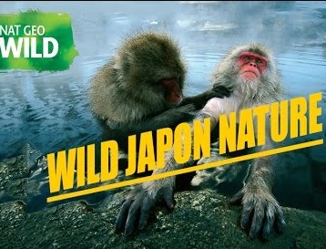 Wild Japan Full Documentary