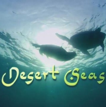 Desert Seas narrated by David Attenborough tells the story of how the peninsula of Arabia transformed from an ocean millions of years ago to the desert it is today.