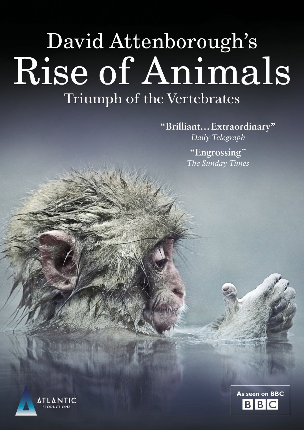 David Attenborough's Rise Of Animals