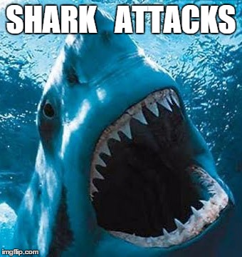 Shark Attacks - Naked Science