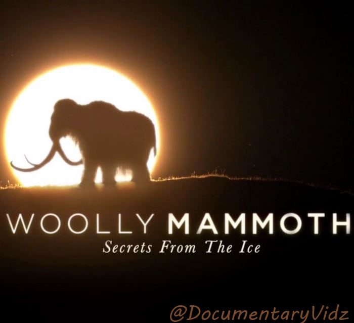 MAMMOTHS OF THE ICE AGE Full Documentary
